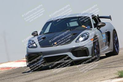 media/Jul-26-2025-Speed Ventures (Sat) [[fe569e6cf0]]/Black Group/Grapvine/